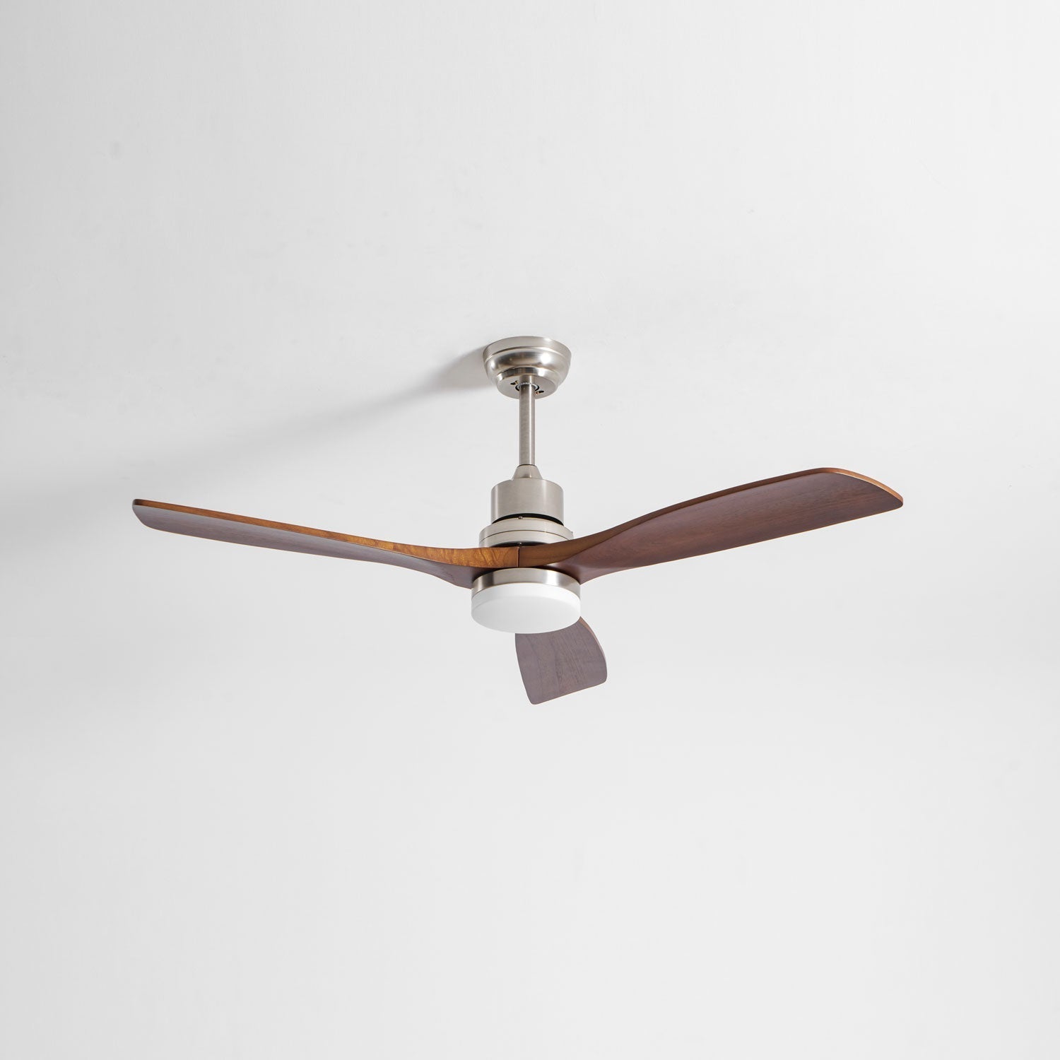 Camey Ceiling Fan Light