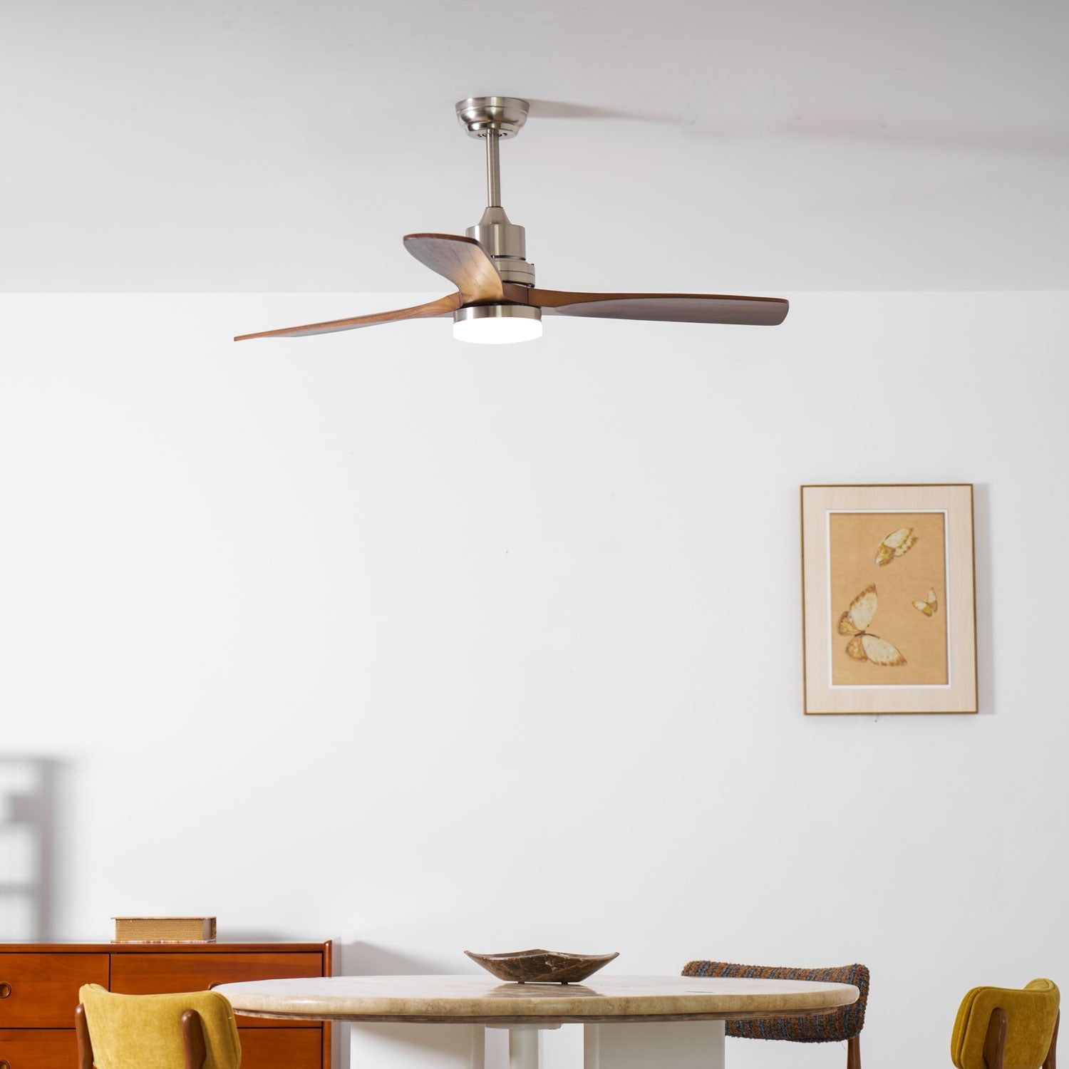 Camey Ceiling Fan Light