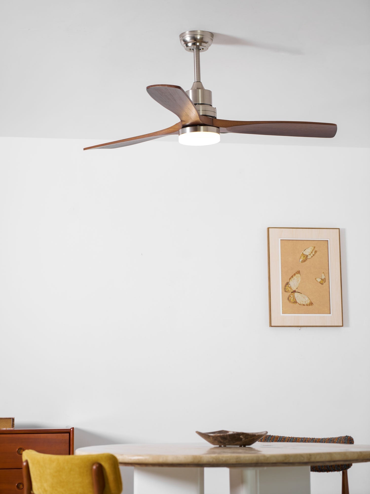 Camey Ceiling Fan Light