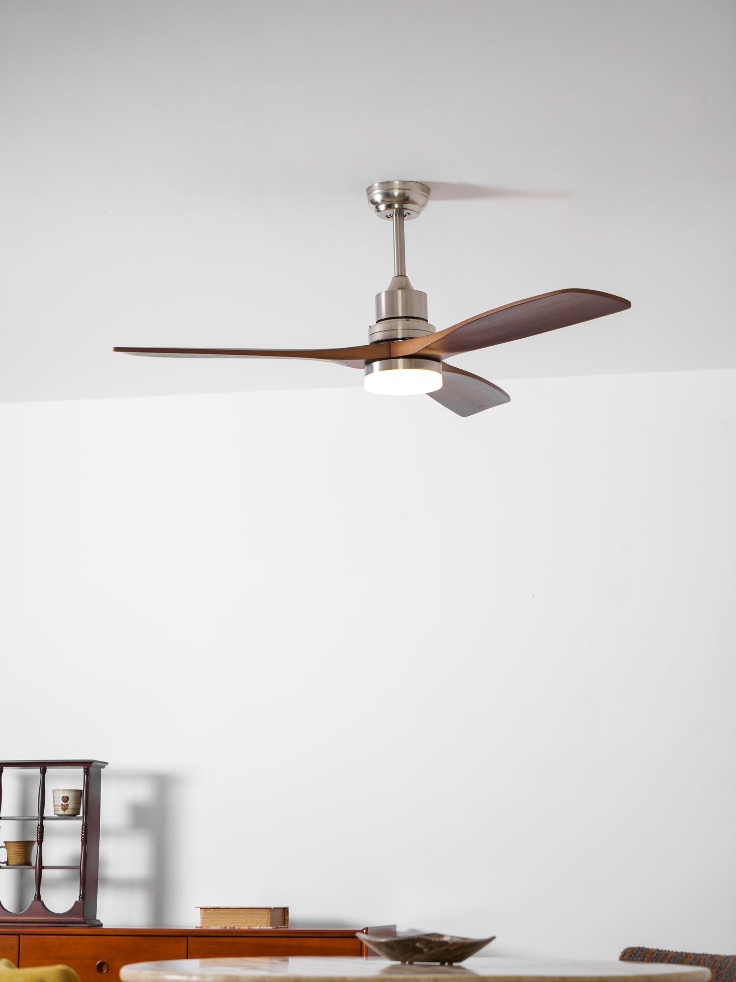 Camey Ceiling Fan Light
