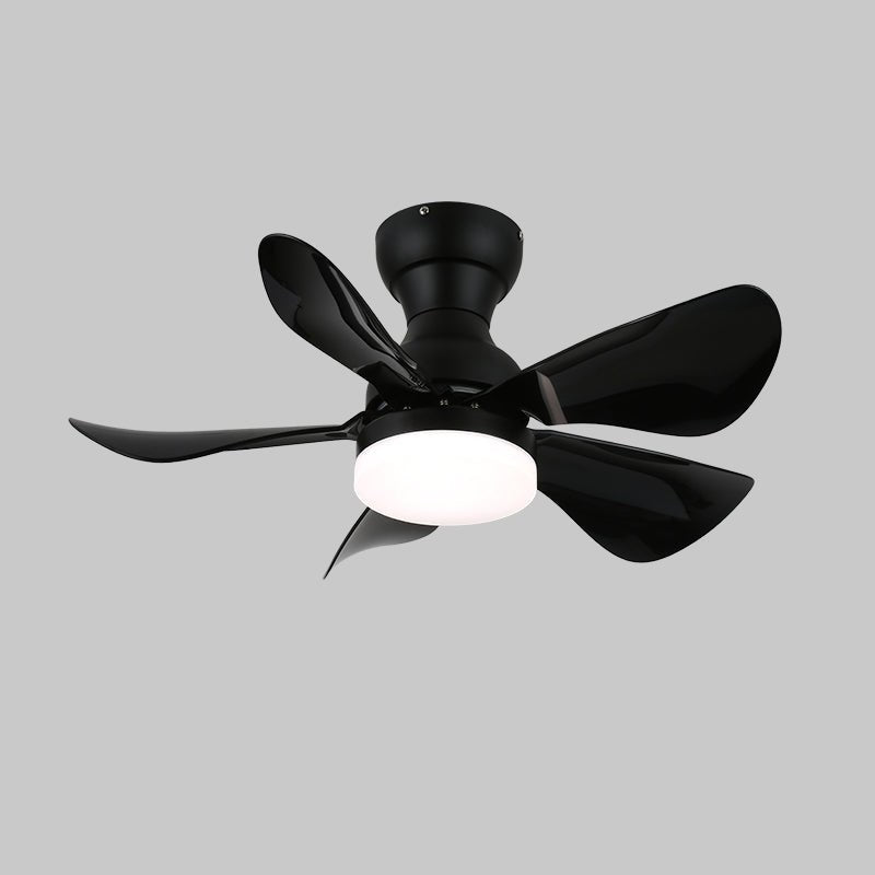 Reefli Ceiling Fan Light