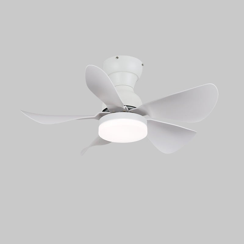 Reefli Ceiling Fan Light