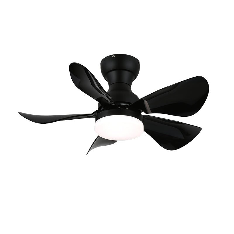 Reefli Ceiling Fan Light