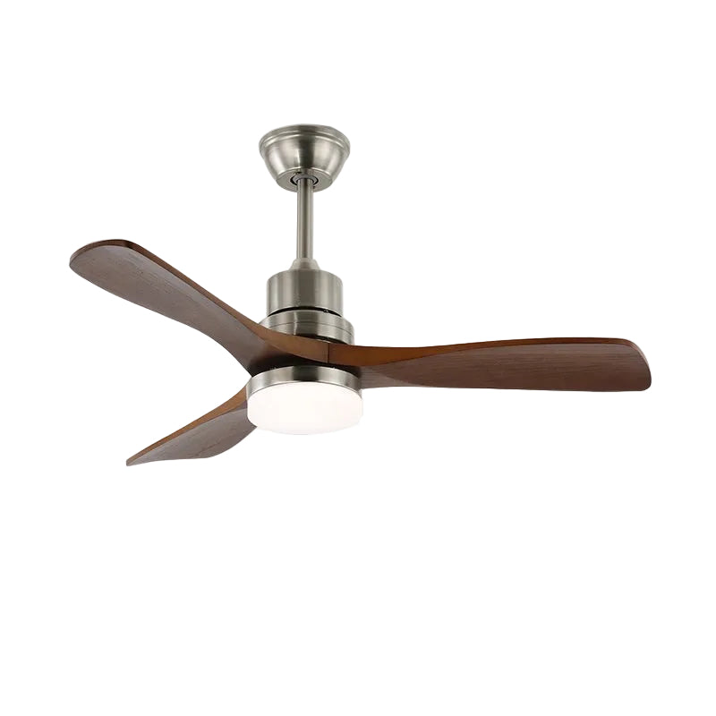 Camey Ceiling Fan Light