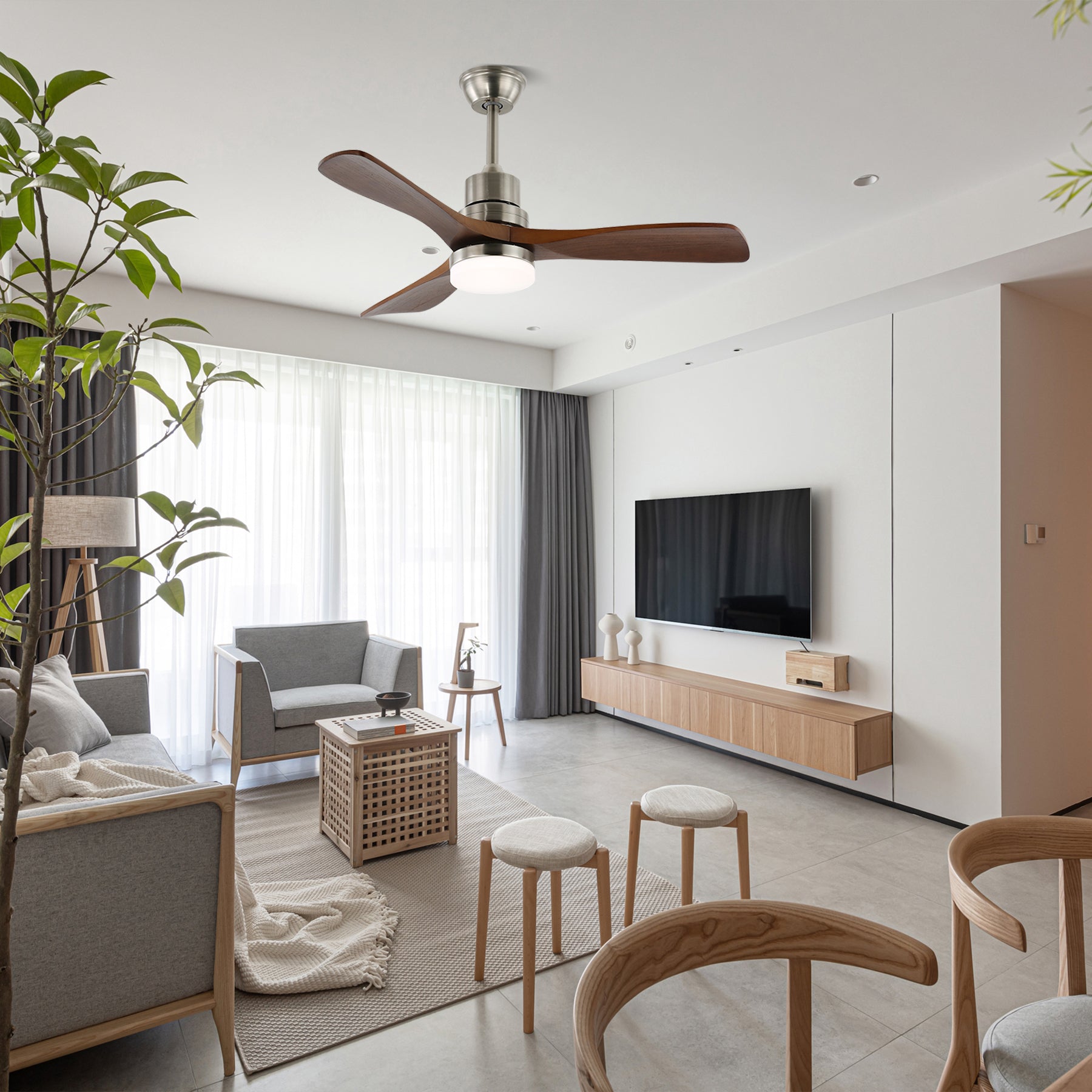 Camey Ceiling Fan Light