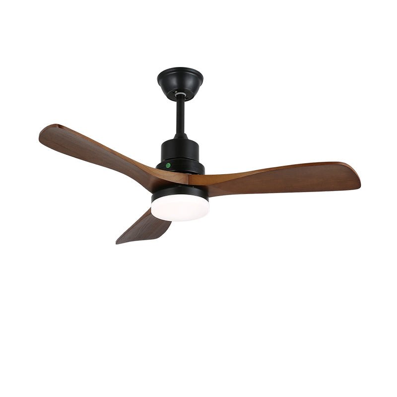 Camey Ceiling Fan Light