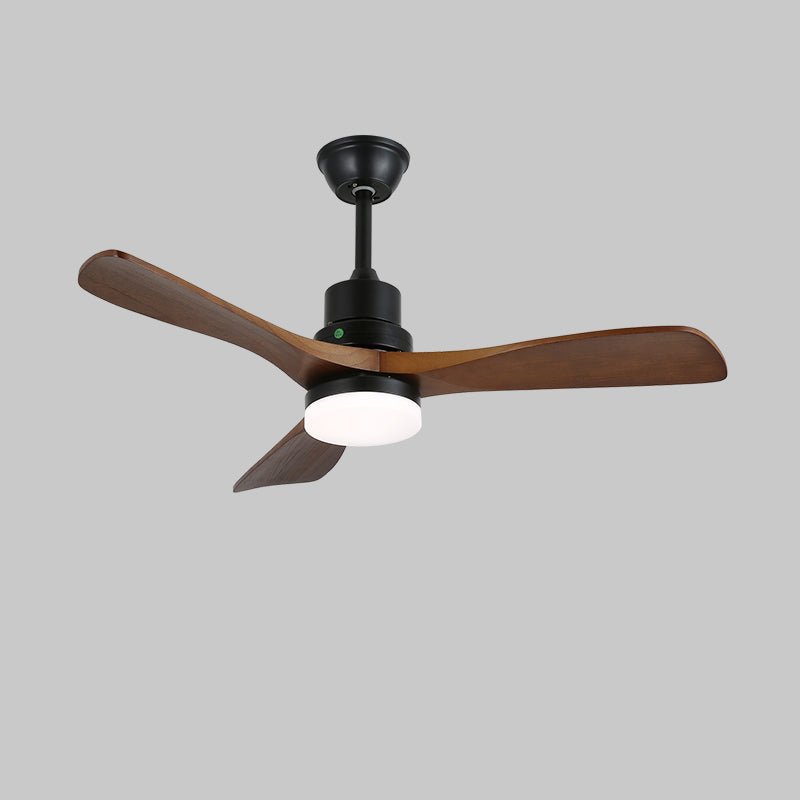 Camey Ceiling Fan Light