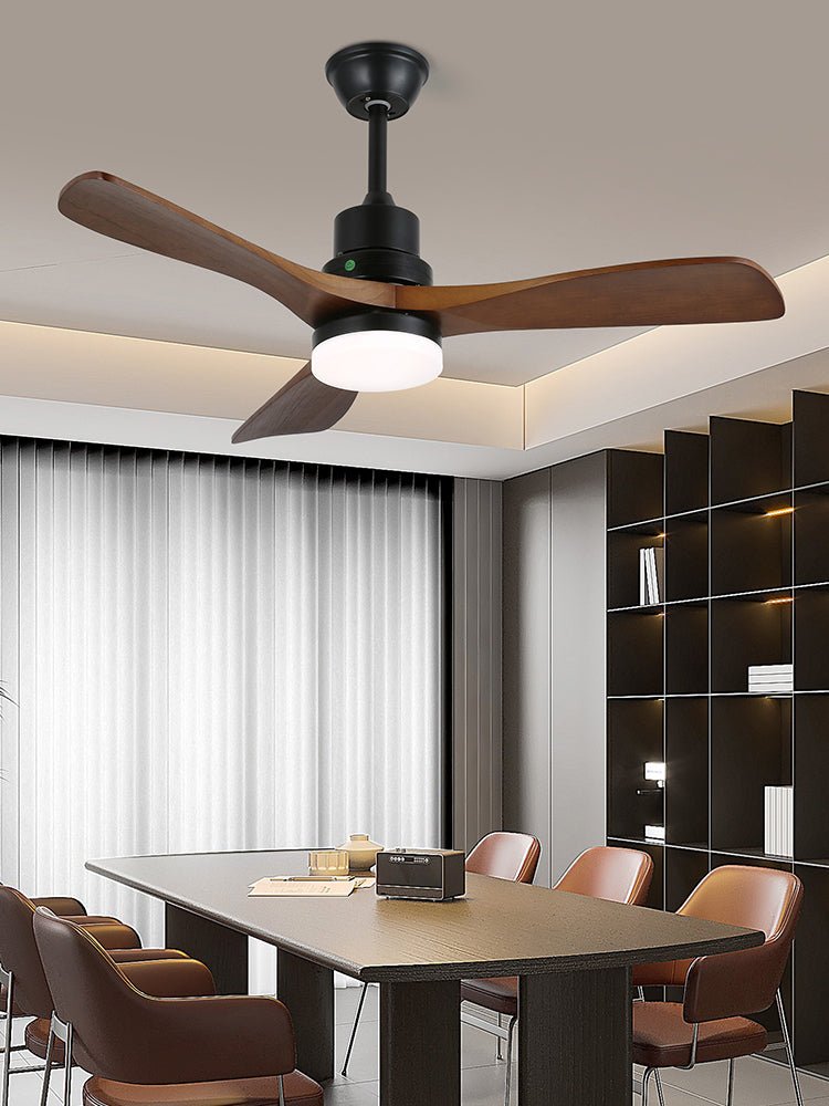 Camey Ceiling Fan Light