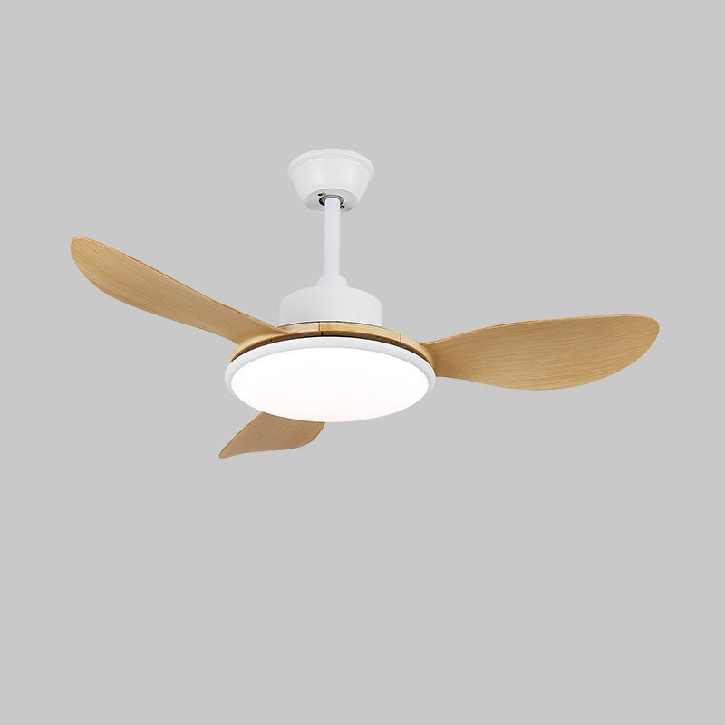 Darlenlo Ceiling Fan Light