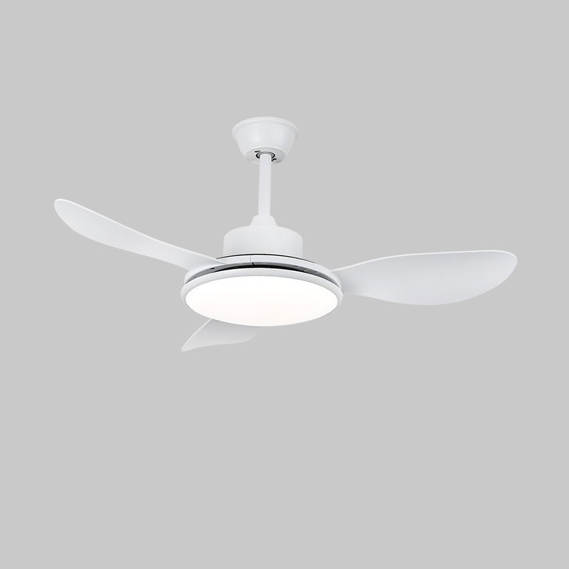 Darlenlo Ceiling Fan Light