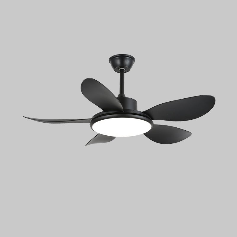 Darlenlo Ceiling Fan Light