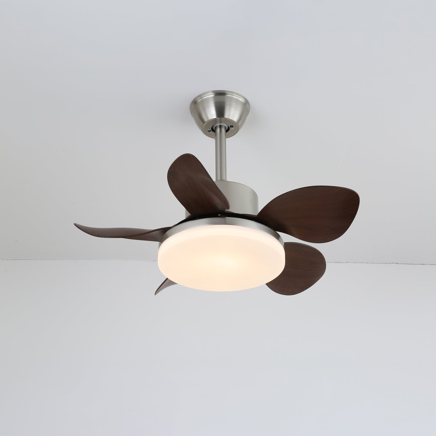 Evone Ceiling Fan Light