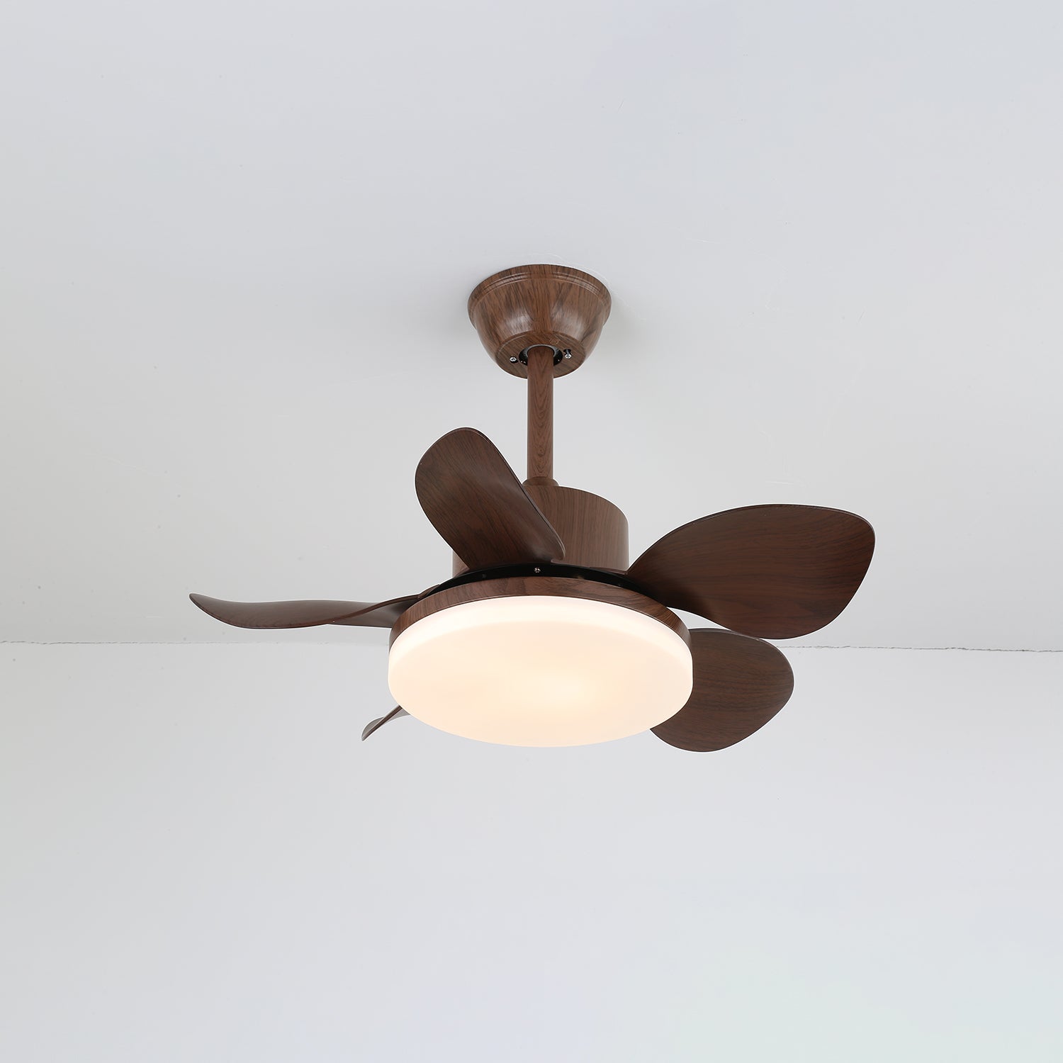 Evone Ceiling Fan Light