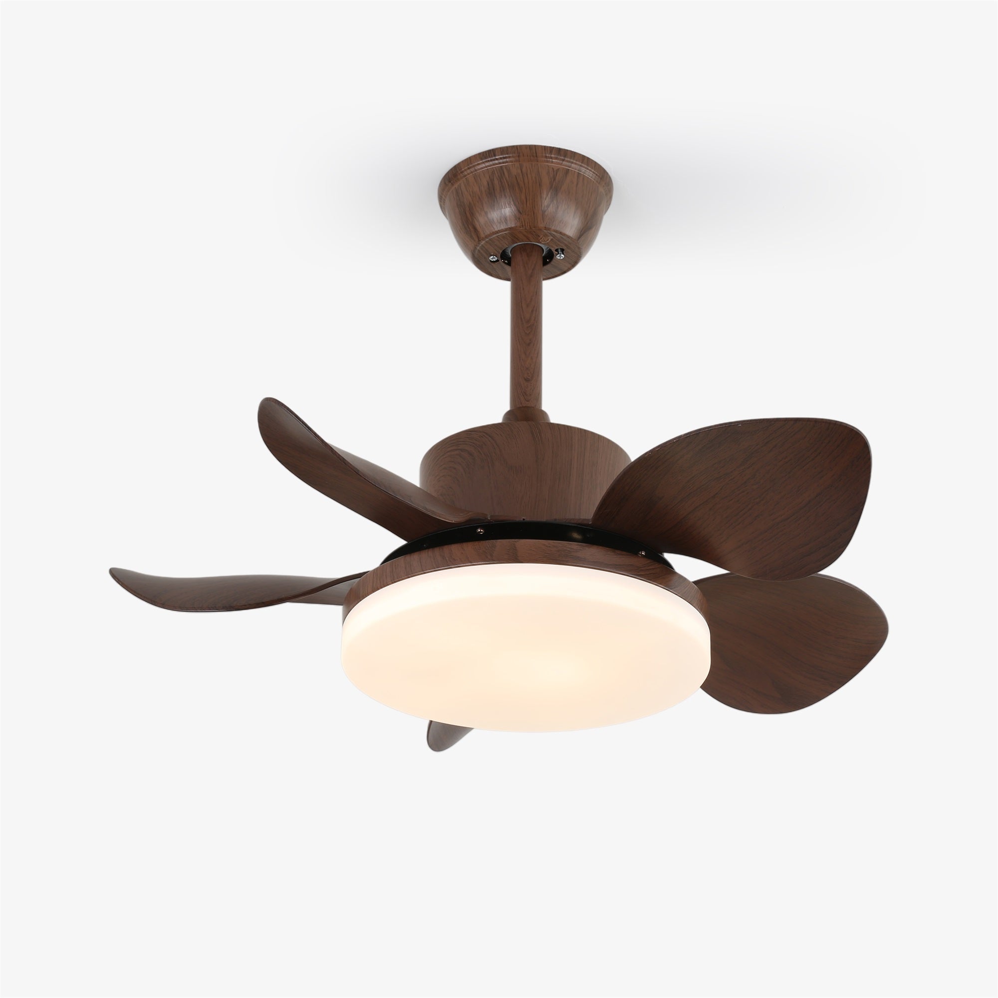 Evone Ceiling Fan Light