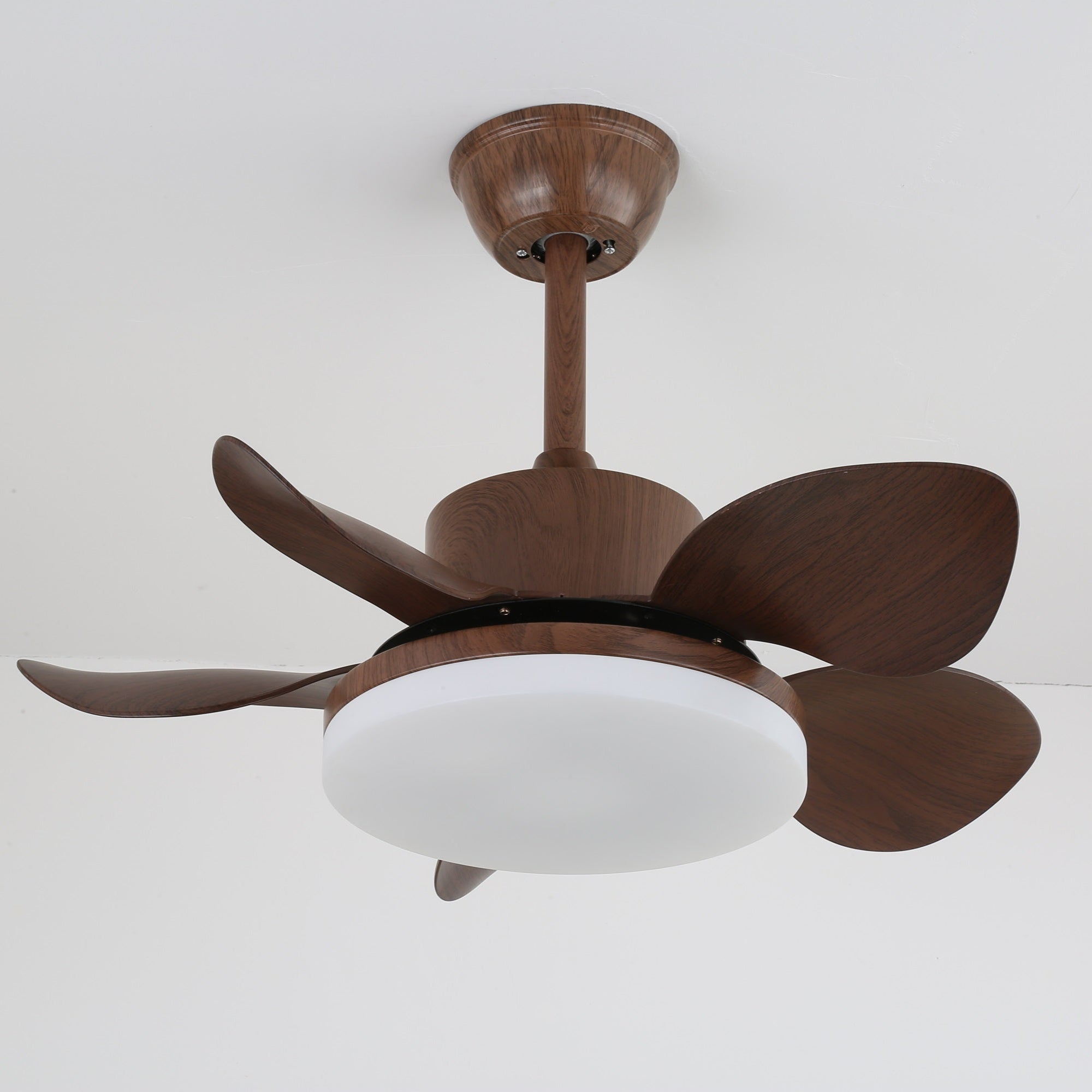 Evone Ceiling Fan Light