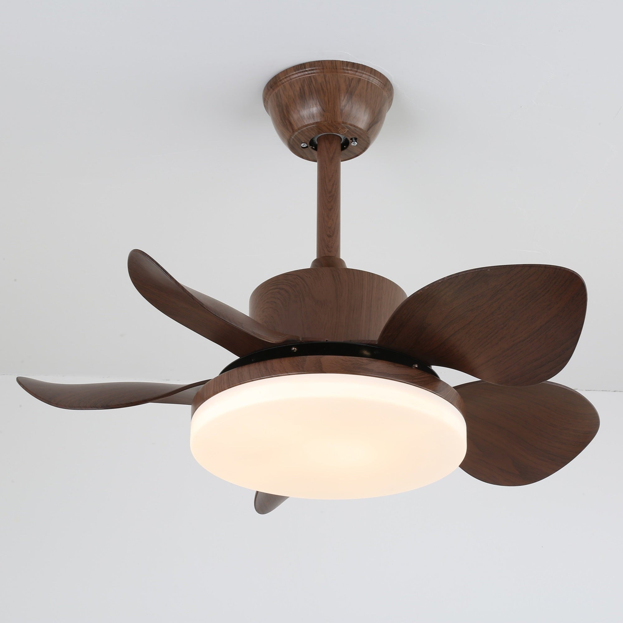 Evone Ceiling Fan Light