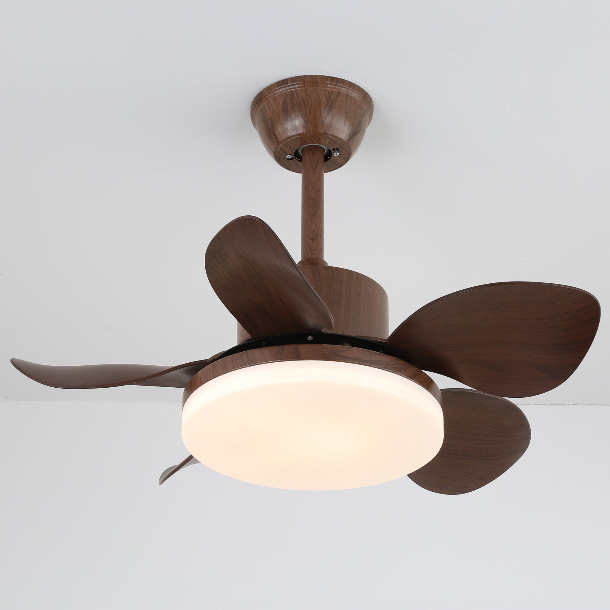 Evone Ceiling Fan Light