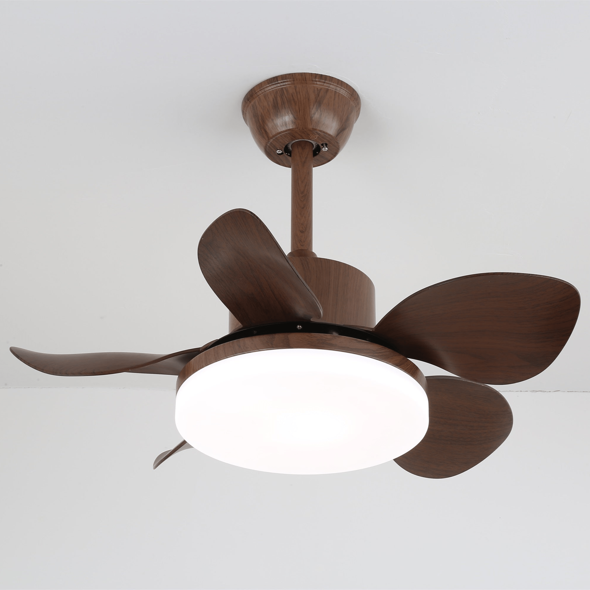 Evone Ceiling Fan Light