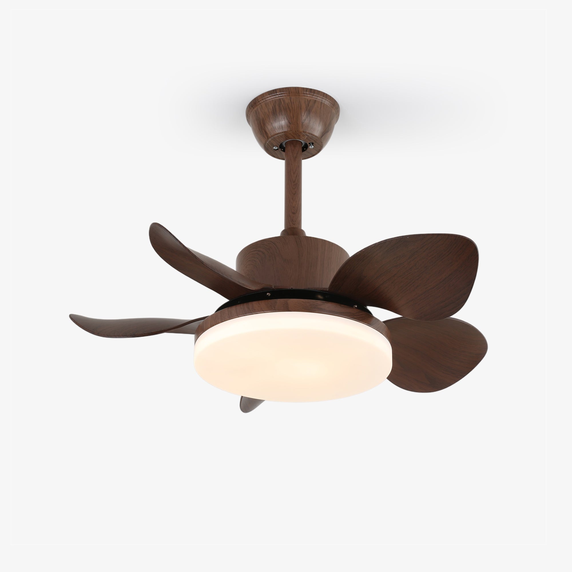 Evone Ceiling Fan Light