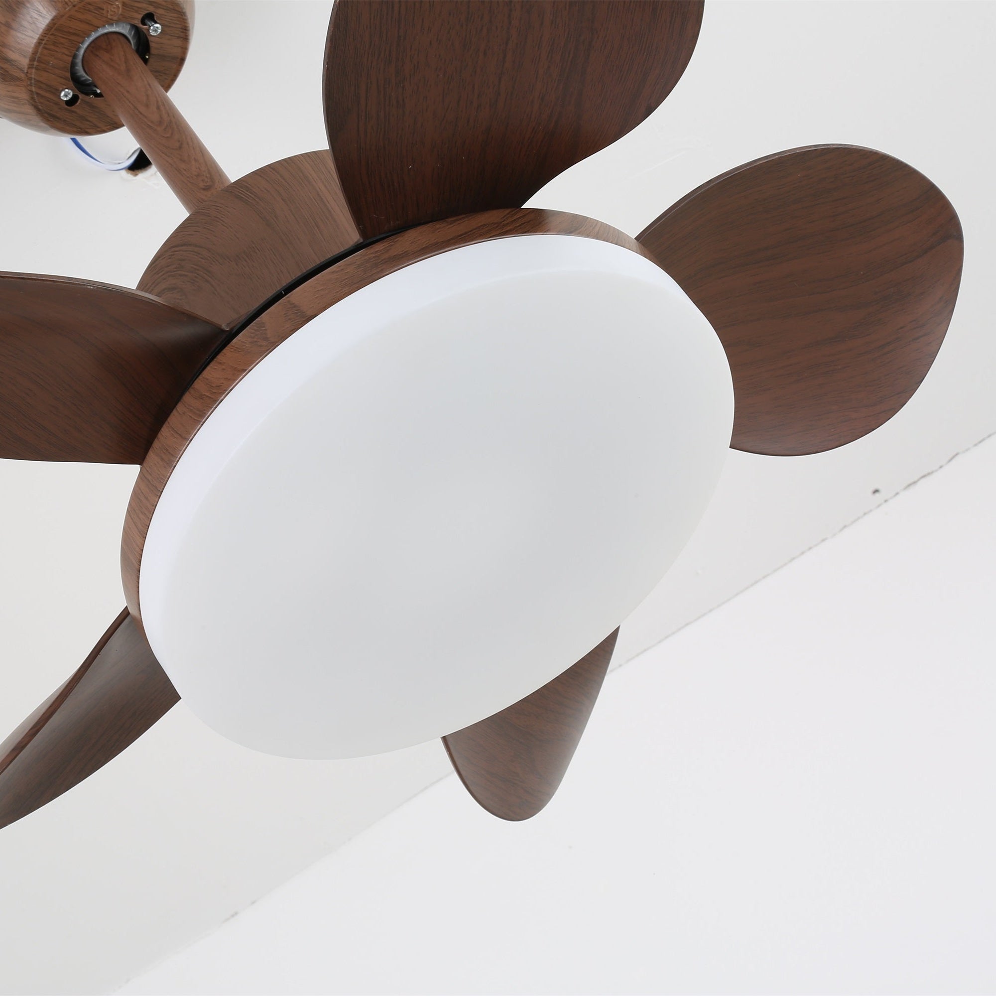 Evone Ceiling Fan Light