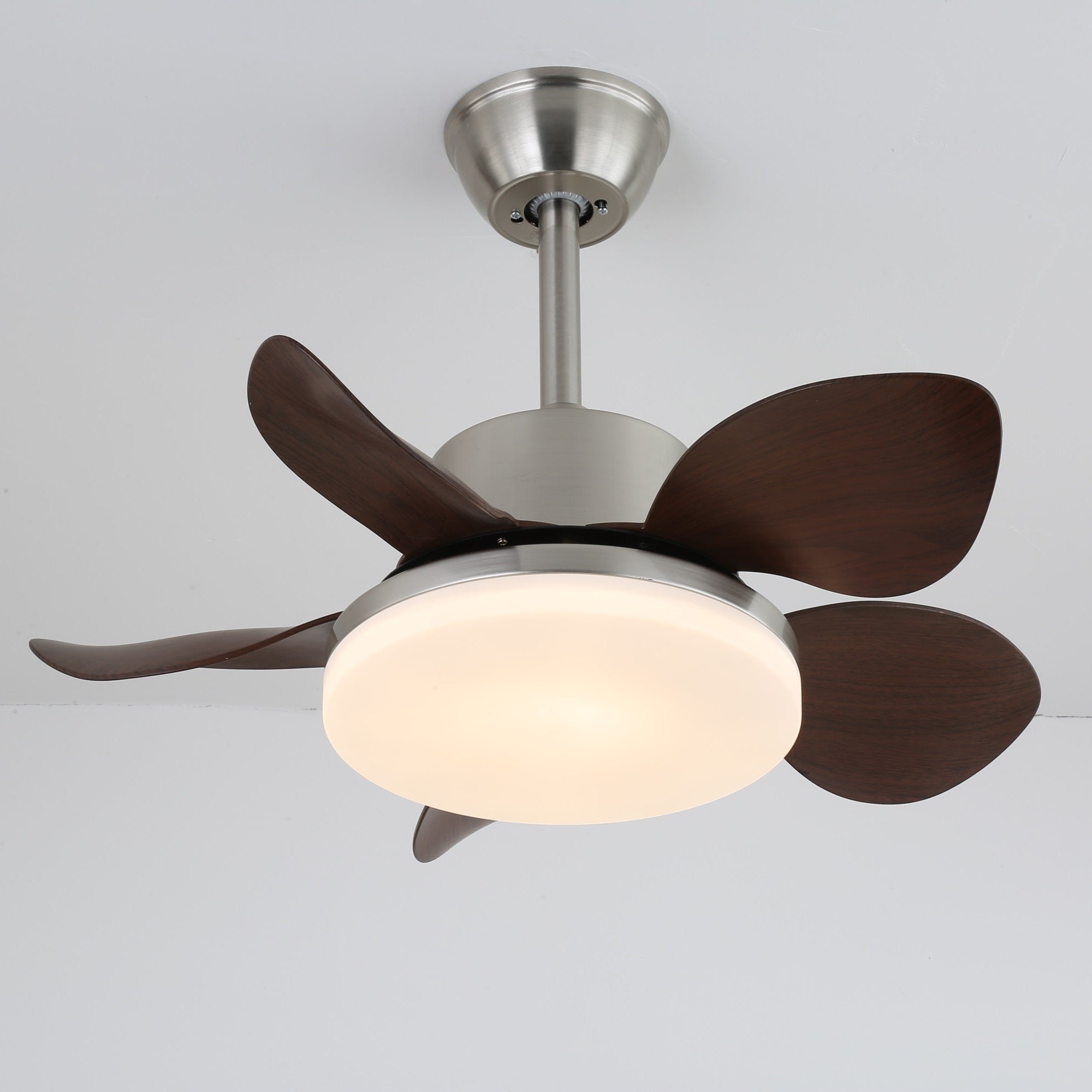 Evone Ceiling Fan Light
