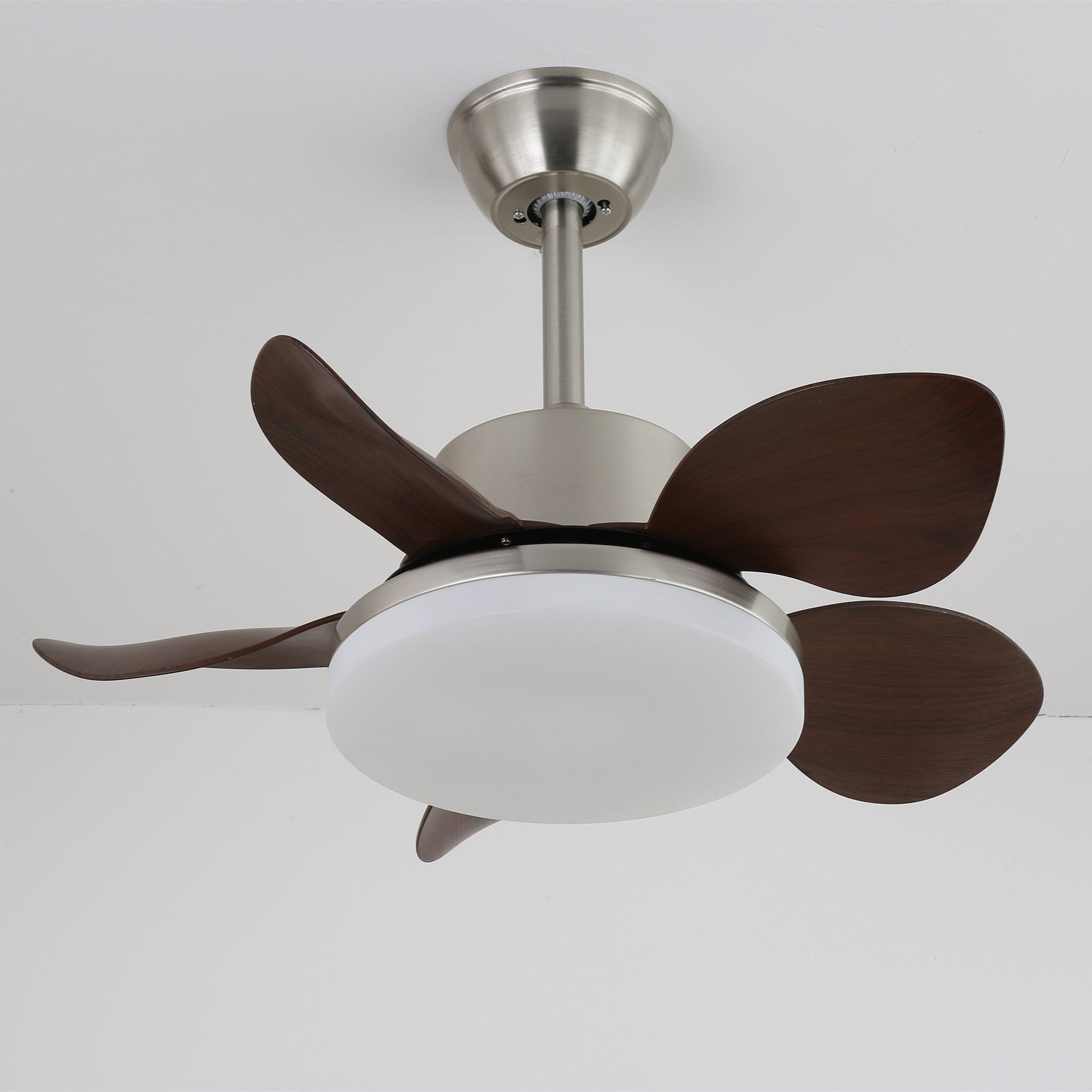 Evone Ceiling Fan Light