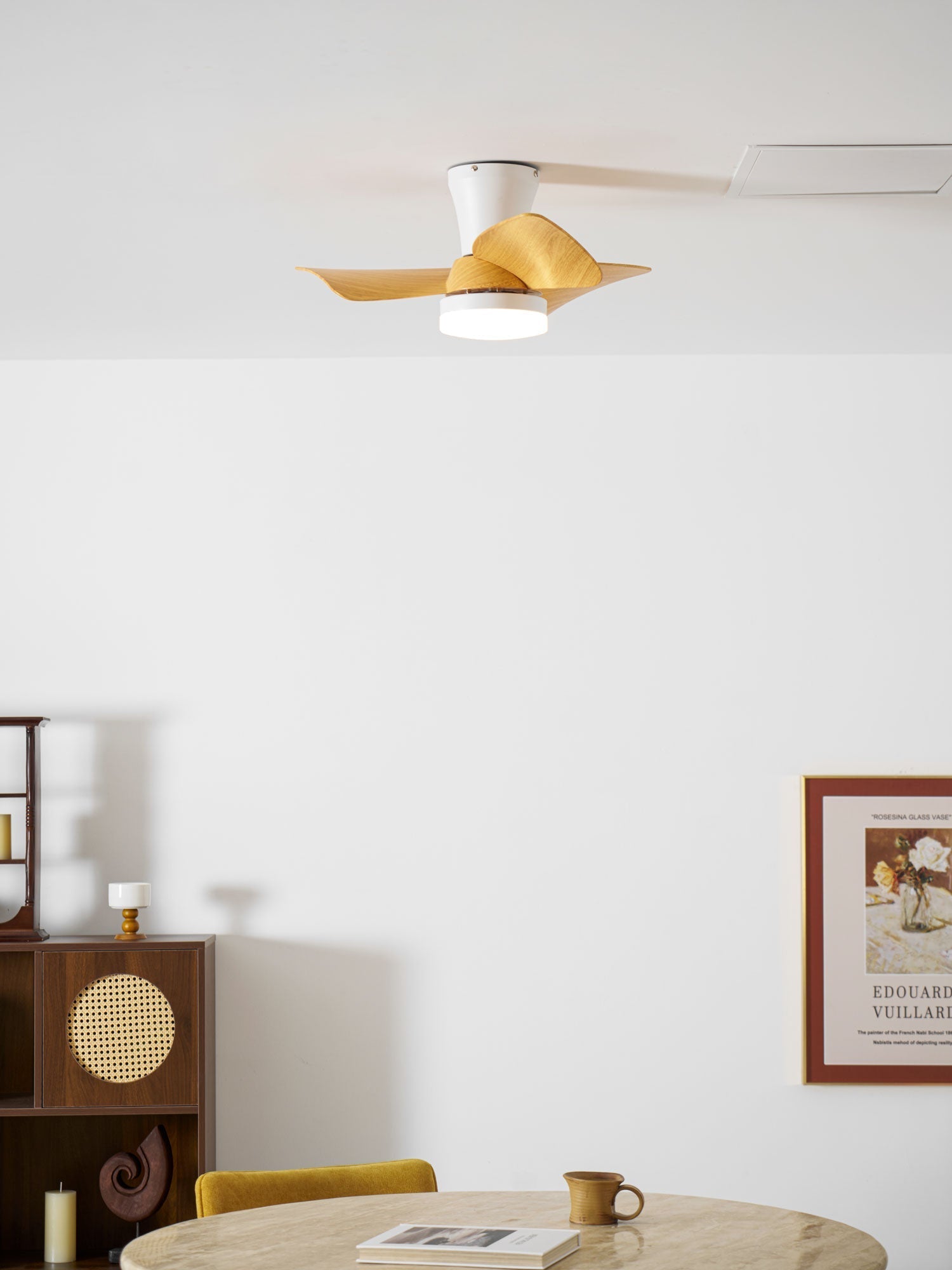 Toralay Ceiling Fan Light
