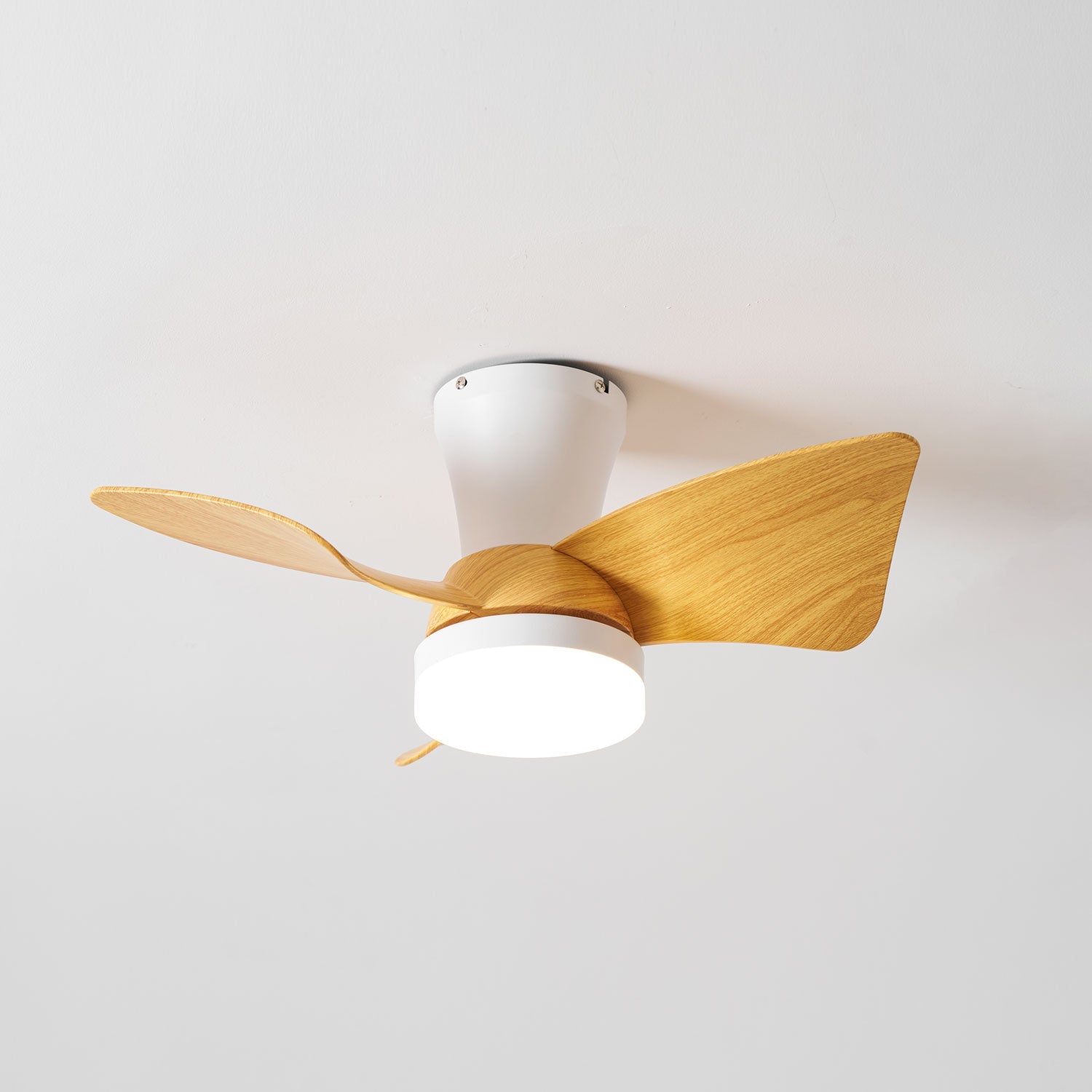 Toralay Ceiling Fan Light