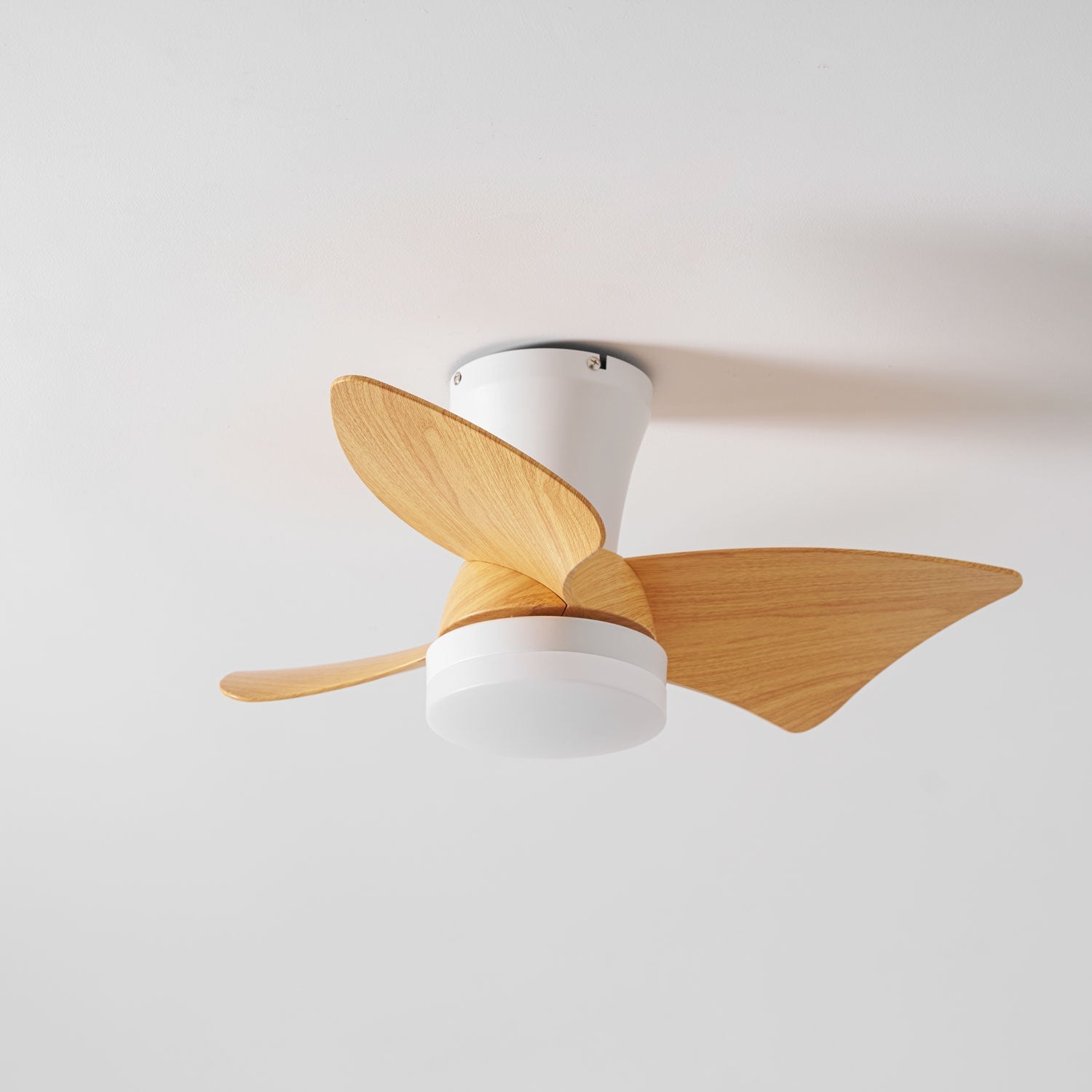 Toralay Ceiling Fan Light