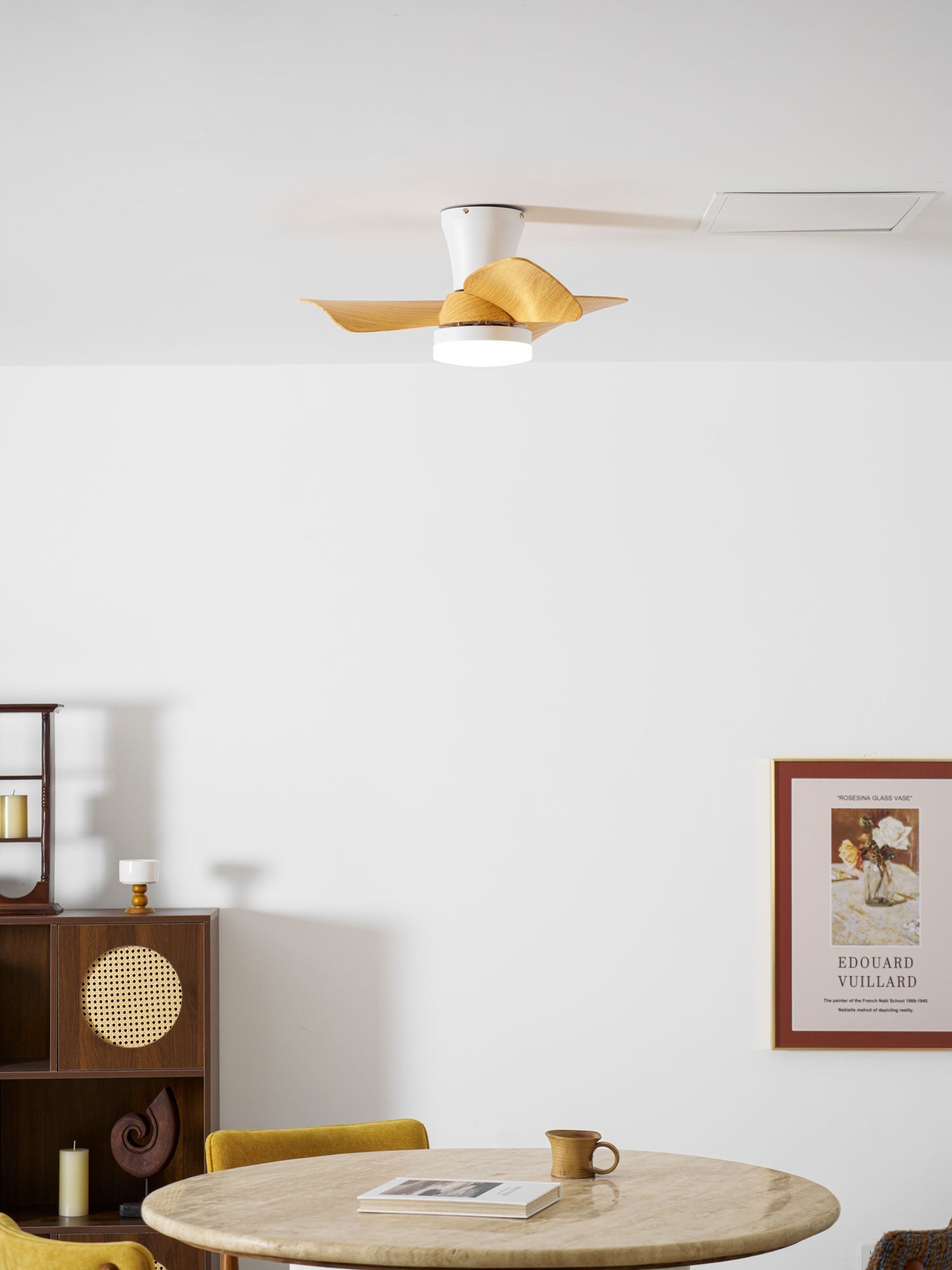 Toralay Ceiling Fan Light