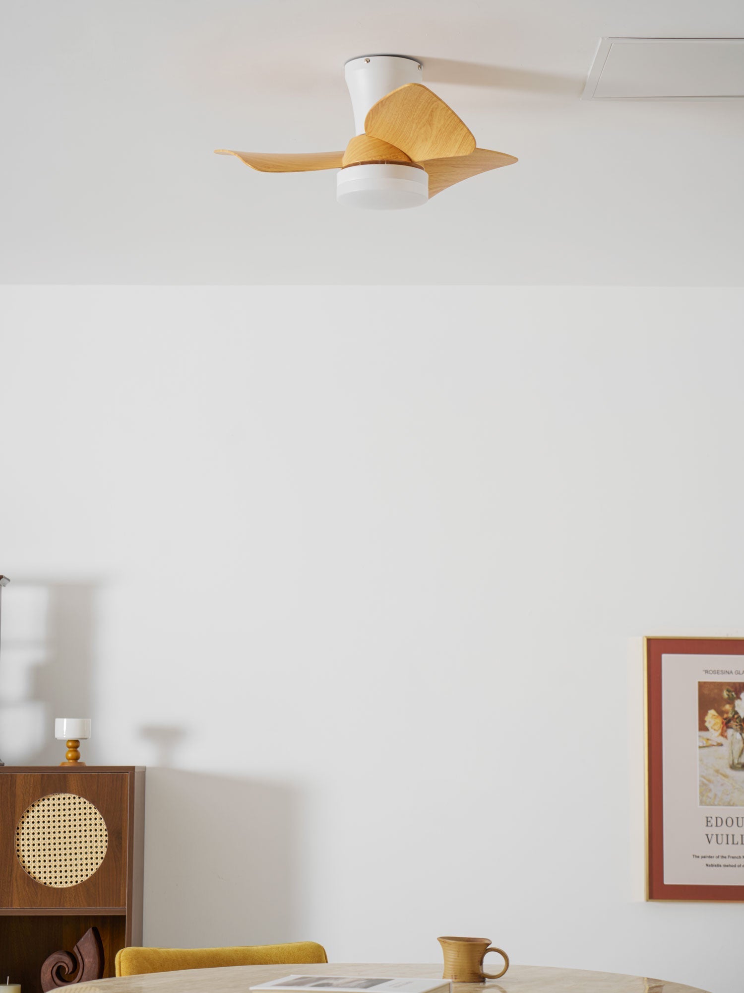 Toralay Ceiling Fan Light