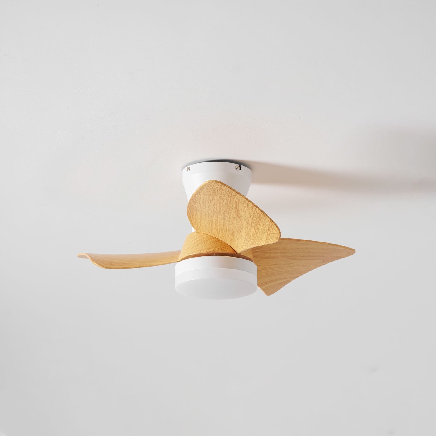 Toralay Ceiling Fan Light