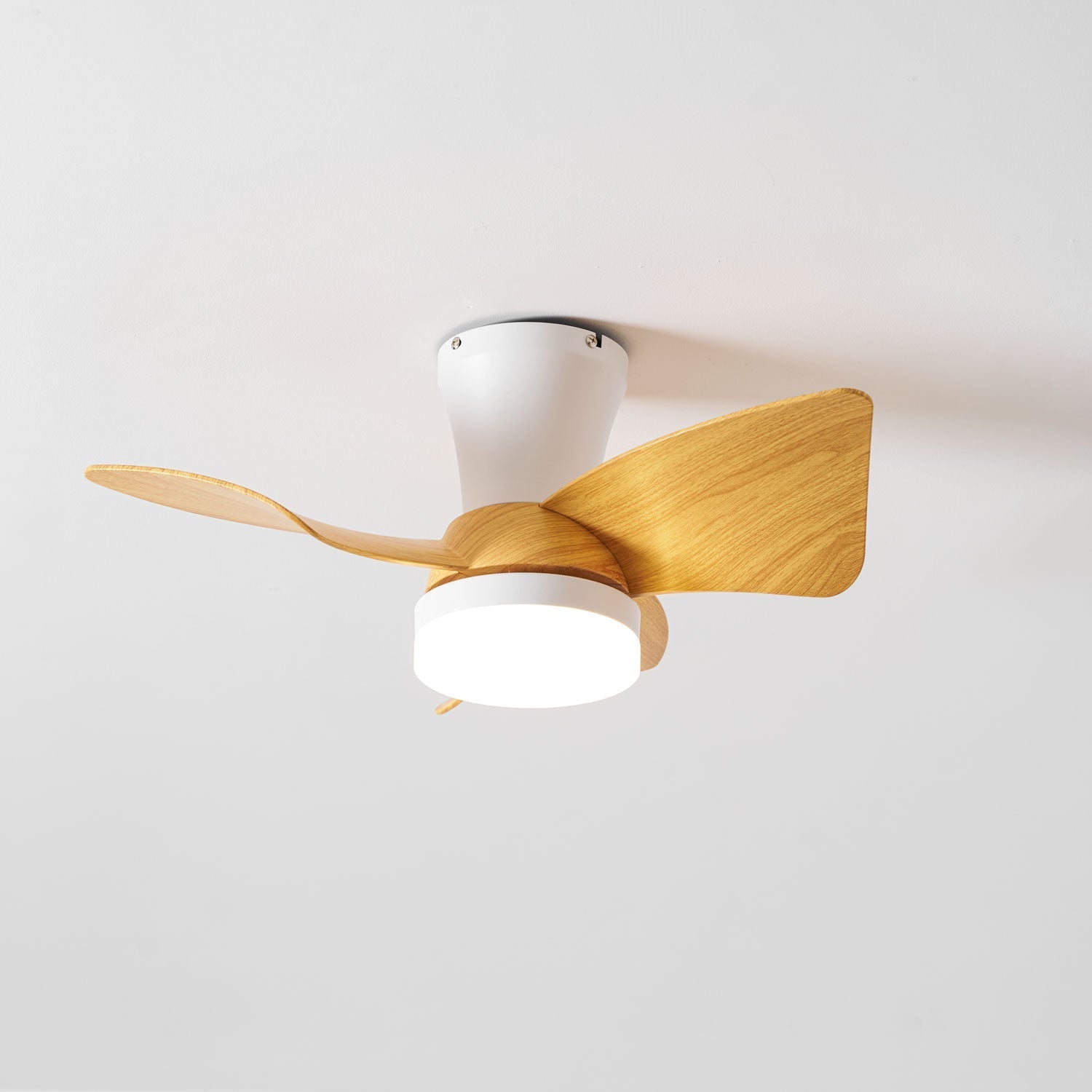 Toralay Ceiling Fan Light