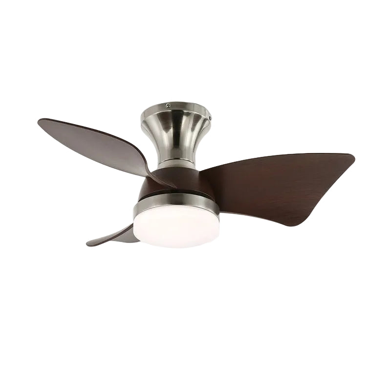 Toralay Ceiling Fan Light
