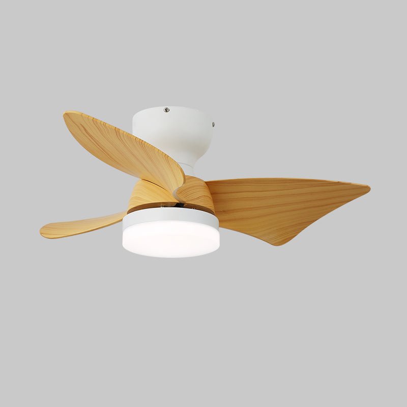 Toralay Ceiling Fan Light