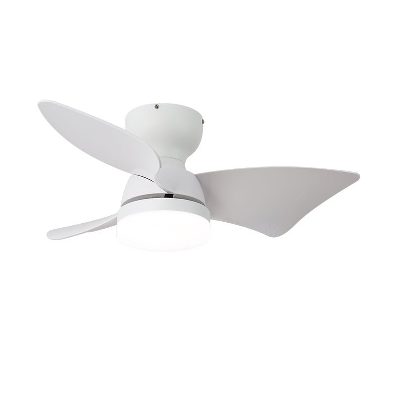 Toralay Ceiling Fan Light