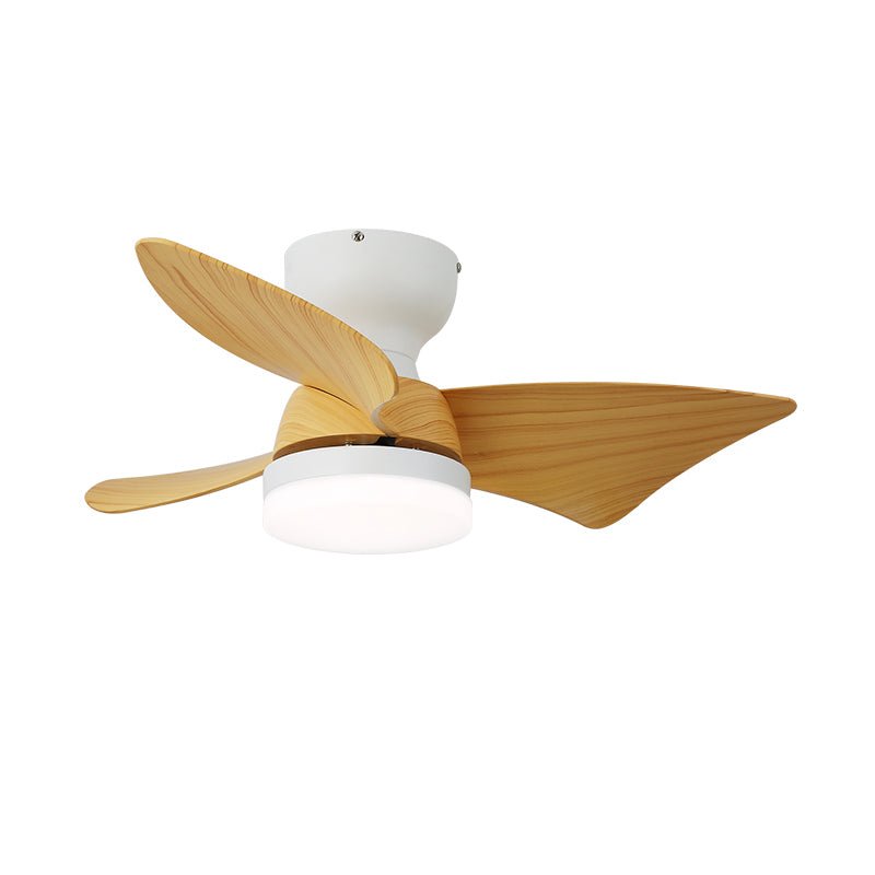 Toralay Ceiling Fan Light