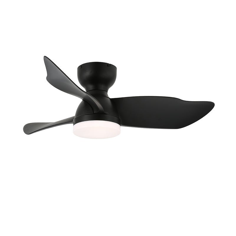 Toralay Ceiling Fan Light