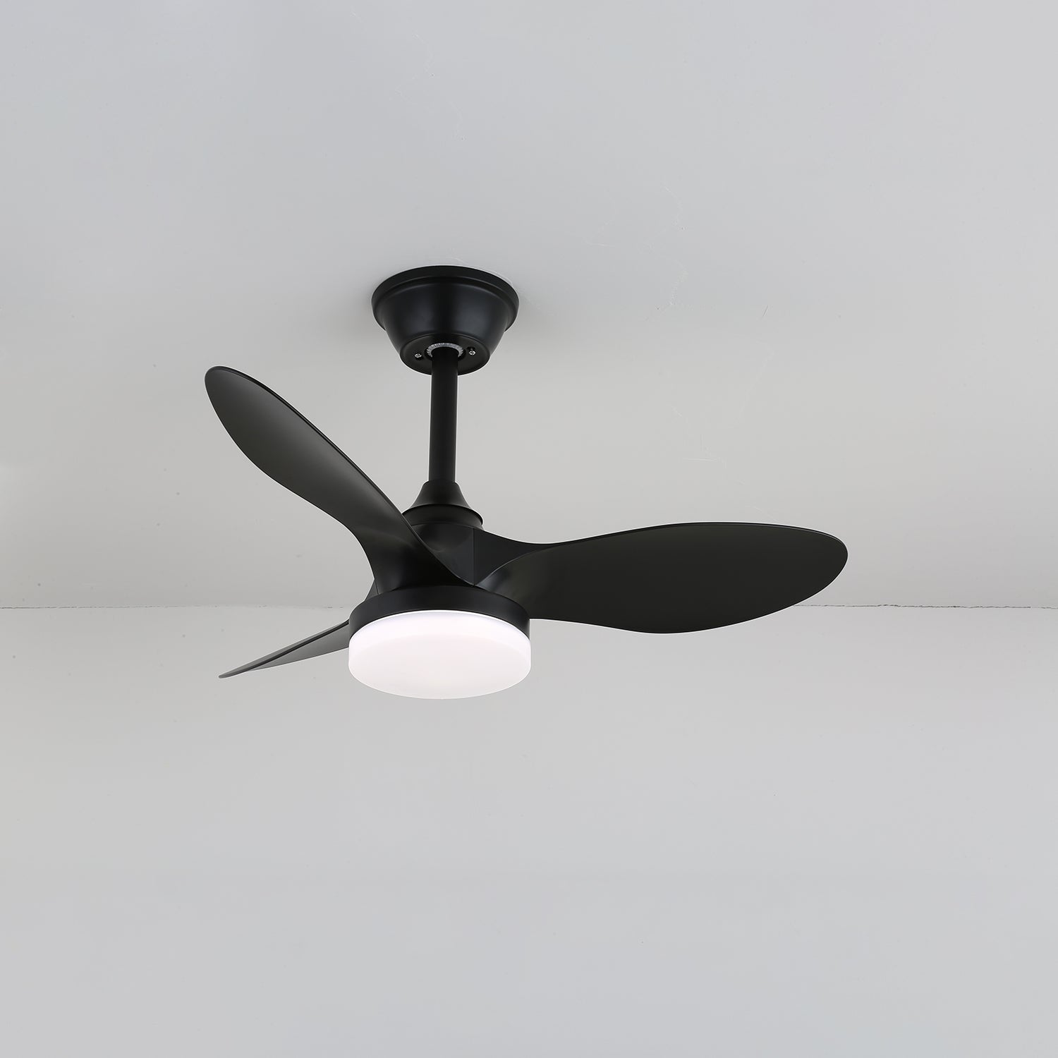 Noallo Ceiling Fan Light