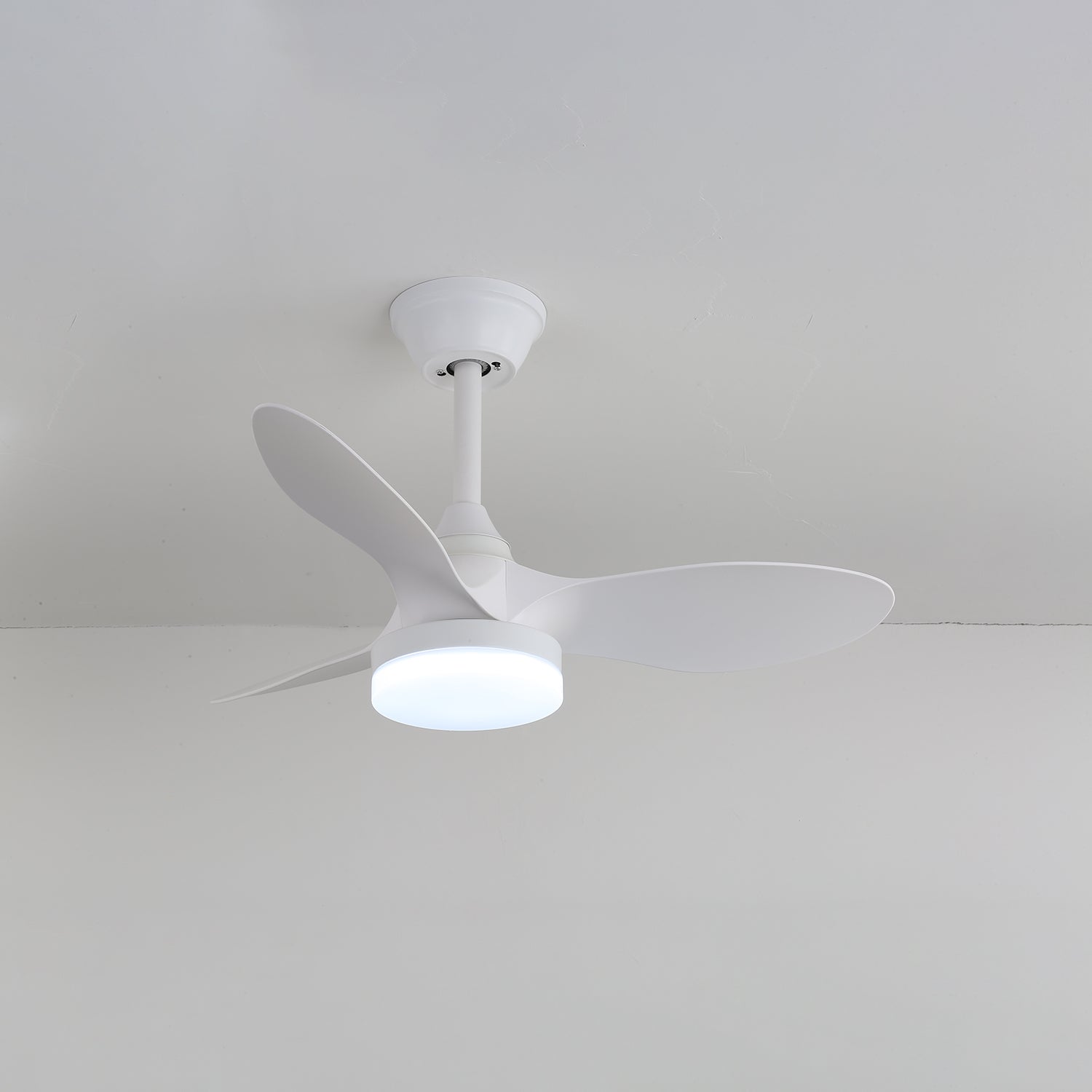 Noallo Ceiling Fan Light