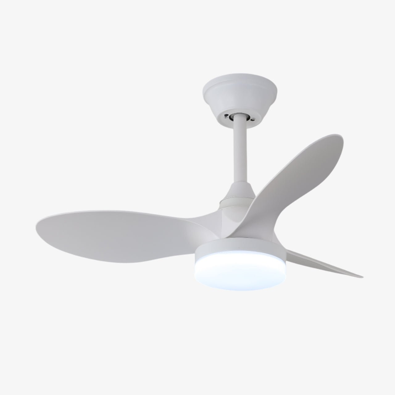 Noallo Ceiling Fan Light