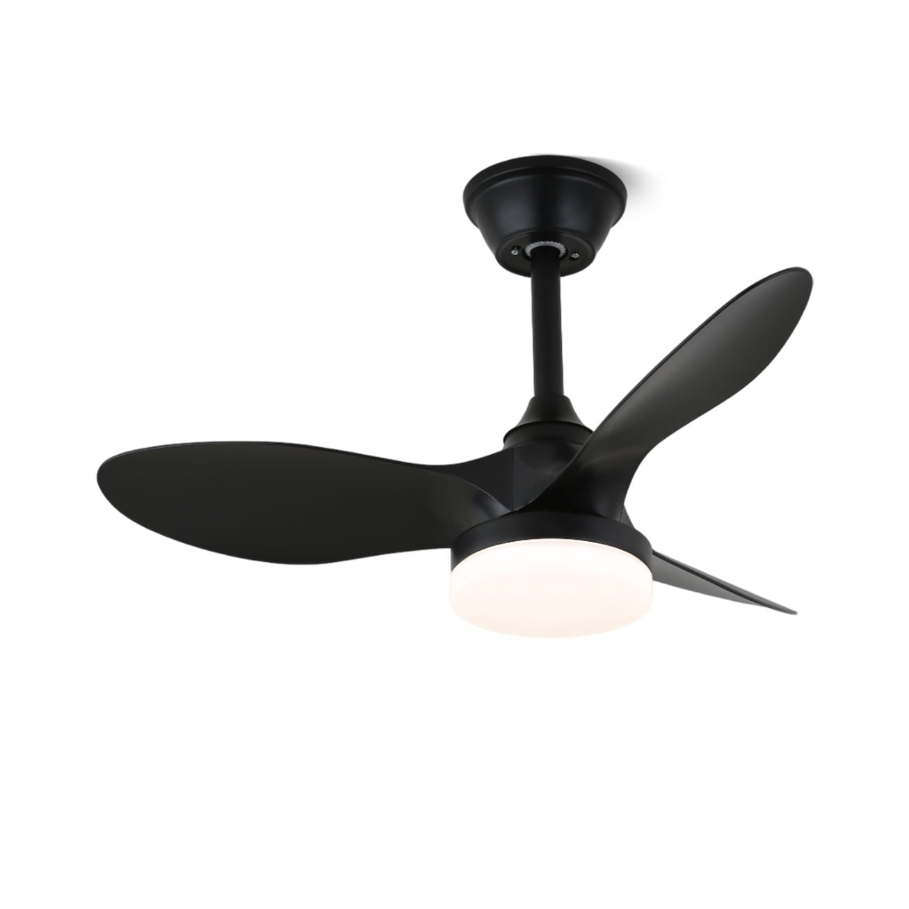 Noallo Ceiling Fan Light