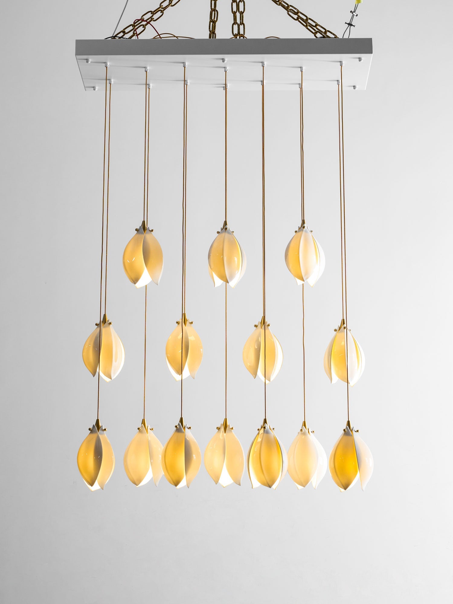 Dovean Pendant Light