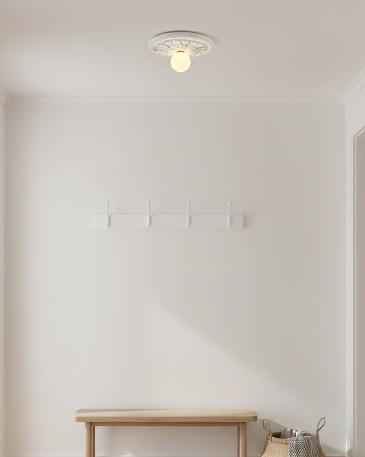 Paxsonal Outdoor Ceiling Light