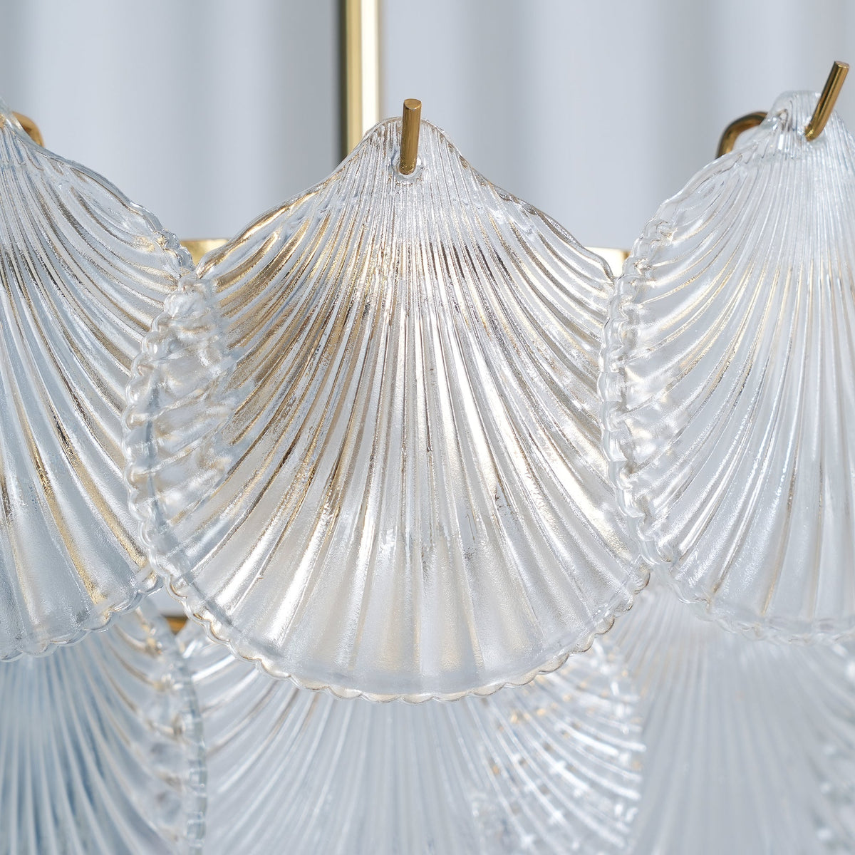 Elkton Shell Chandelier