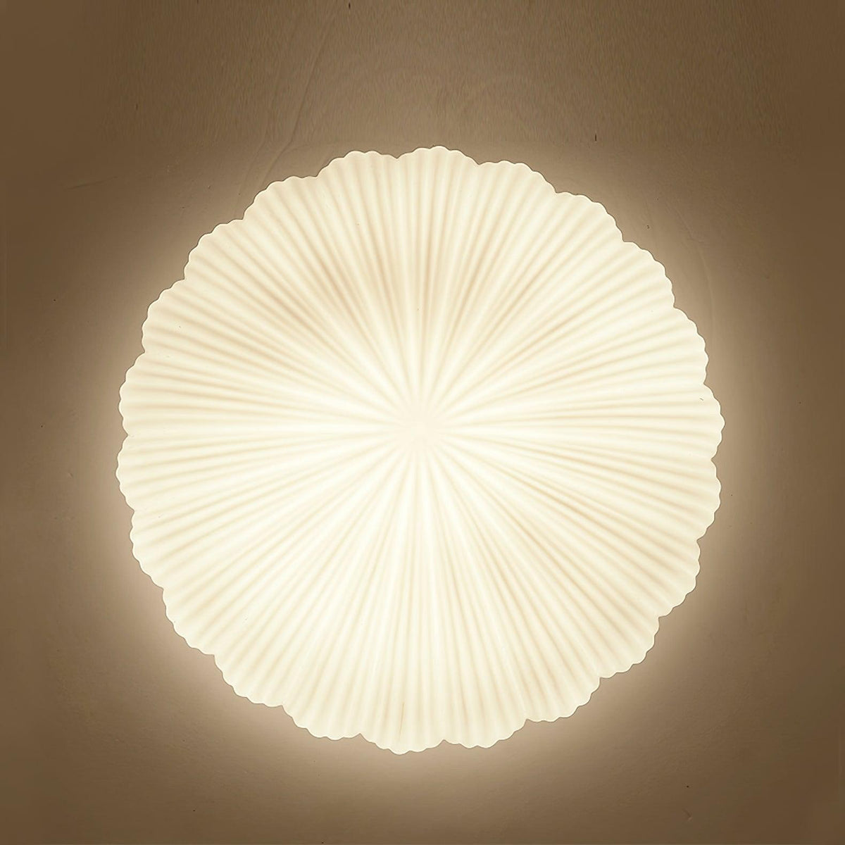 Devan Seashell Ceiling Lamp – detail 11