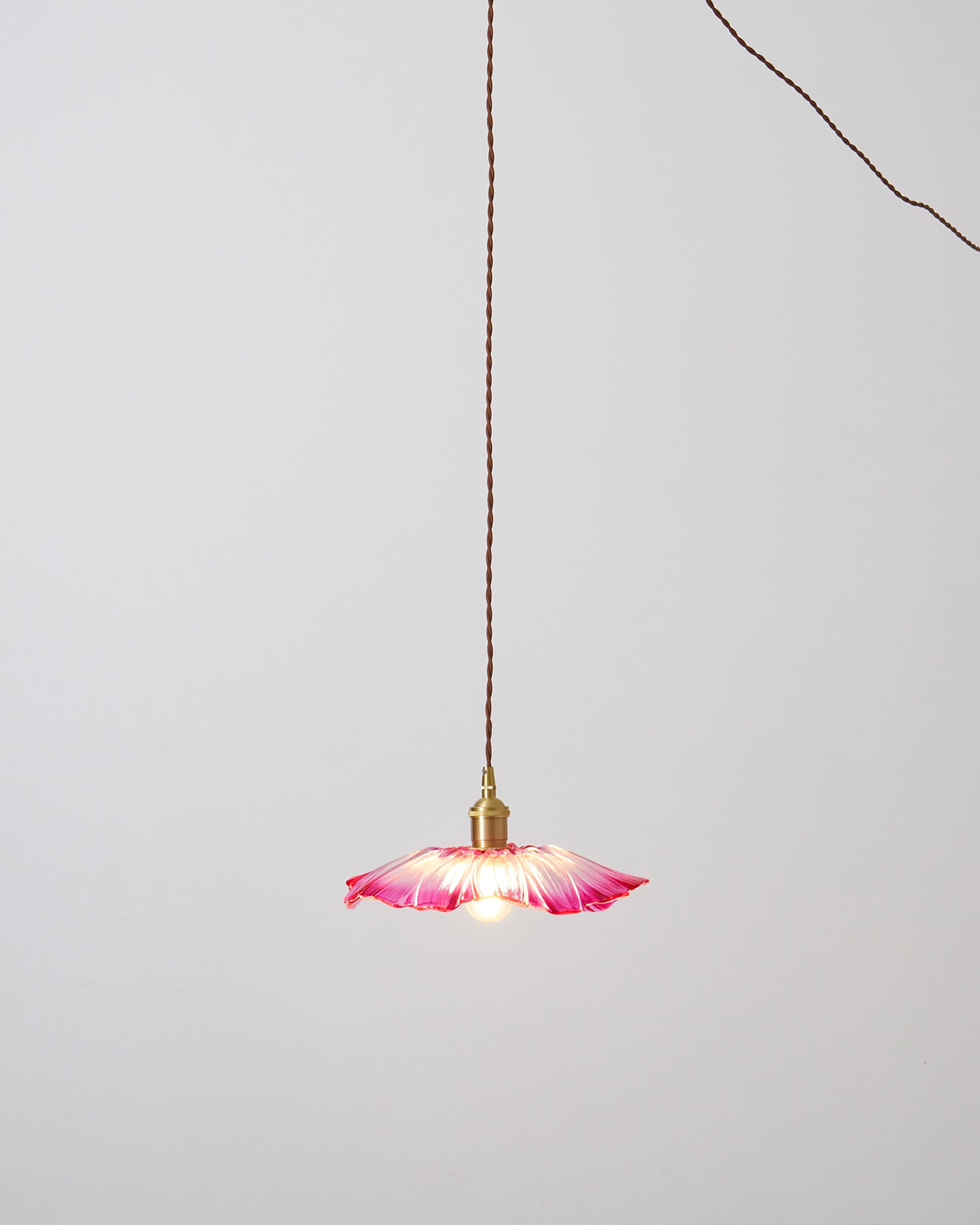 Rodenford Flower Plug In Pendant Light