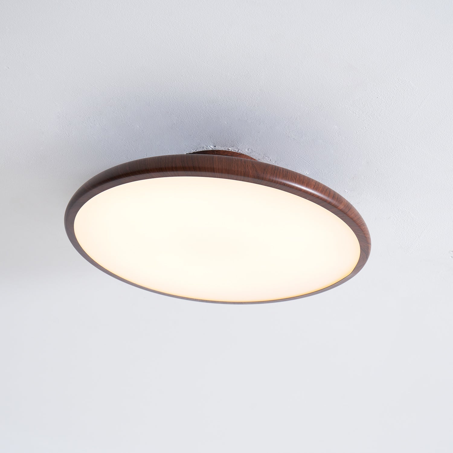 Talime Ceiling Light