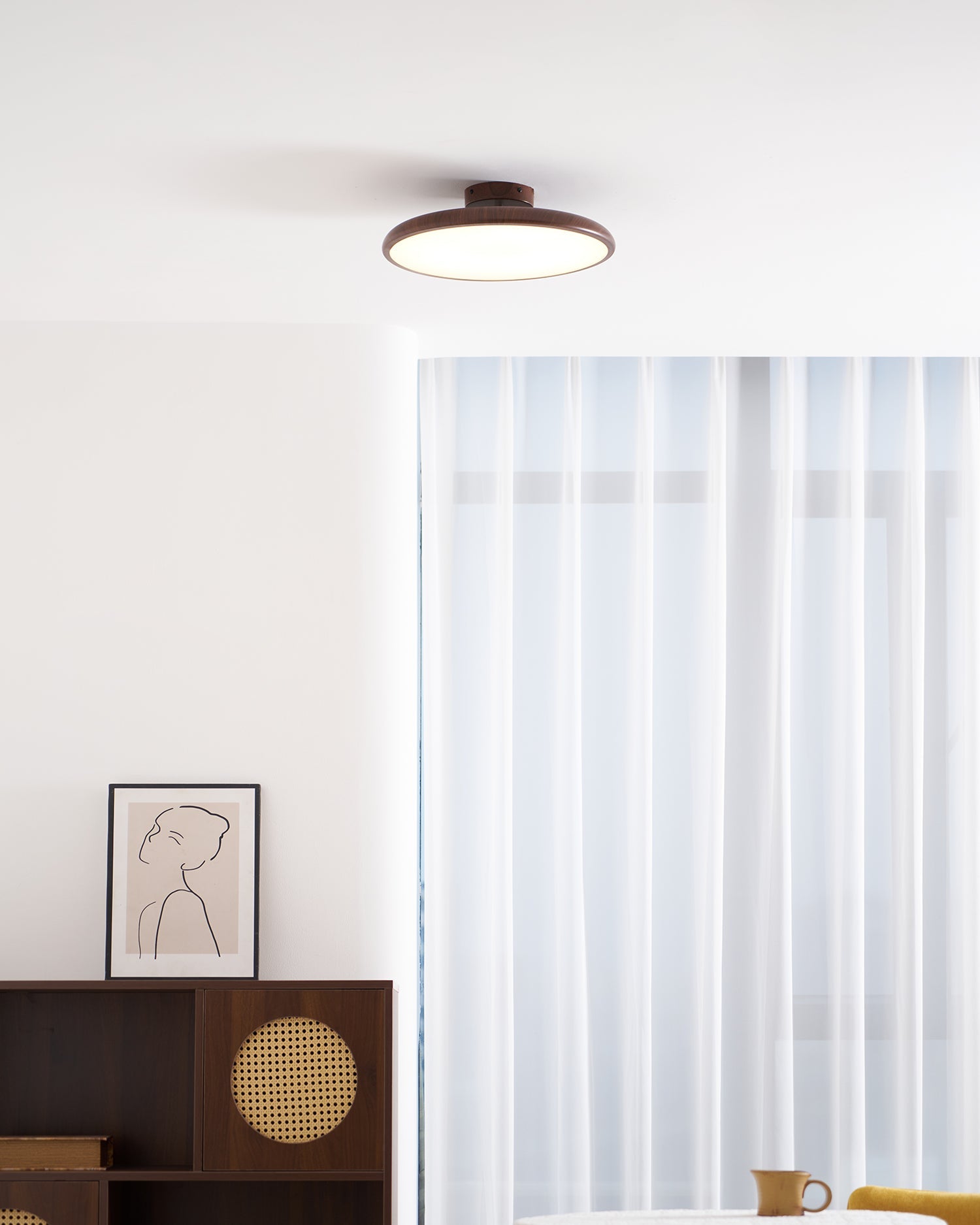 Talime Ceiling Light