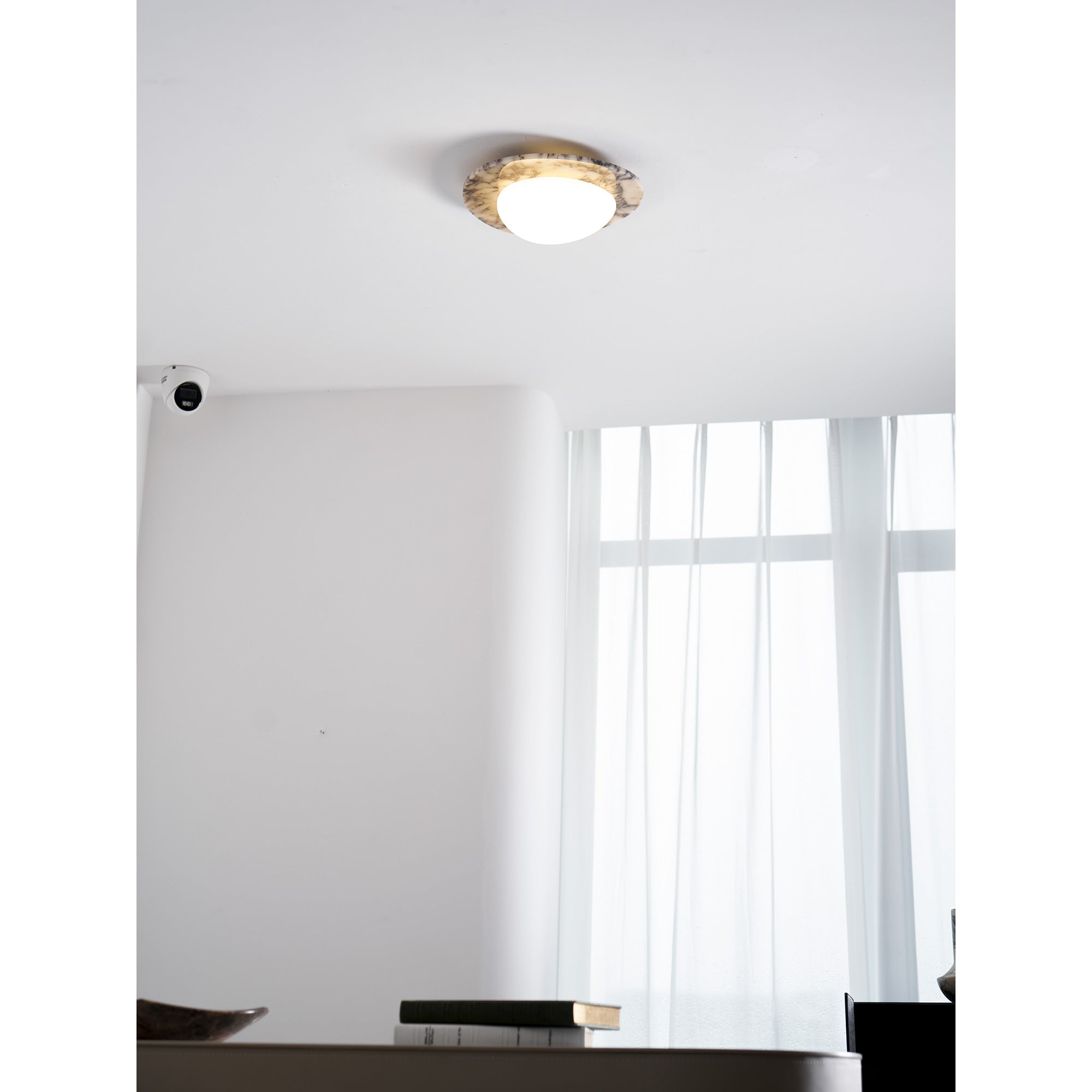 Covemo Modern Ceiling Light